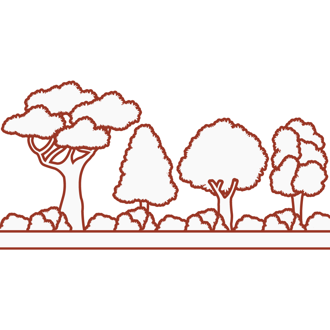 illustration arbres variés collection 