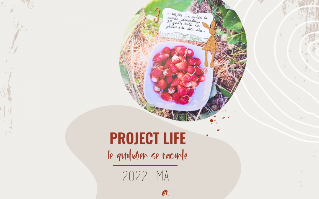 scrapbooking project life 2022 mai fraise jardin potager petit lapin